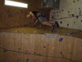 power climbing 60393463