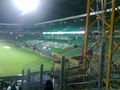 Werder Bremen - Austria Wien 68856140