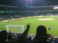 Werder Bremen - Austria Wien 68856151