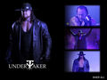 Undertaker 66249840