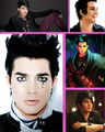 Adam Lambert 74254866