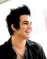 Adam Lambert 74254871