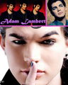 Adam Lambert 74254927