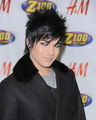 Adam Lambert 75000535