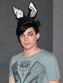 Adam Lambert 75158979