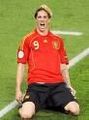 Fernando Torres 68883264