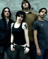 The Distillers 60001240