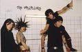 The Distillers 60001253