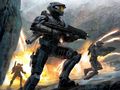 HALO 59017349