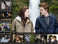 Twilight,New Moon,Eclipse,Breaking Dawn 65034958