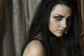 Amy Lee. Die tollste Frau die es gibt.  59651864