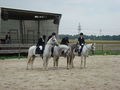 Reiten & im Stall 67224092