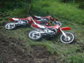 motocross 59299692