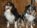 chessy und ihr familie 70676045