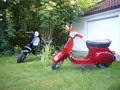 Meine Vespa 22407005