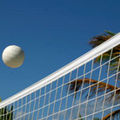 Volleyball 59542553