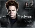 Twilight 73103066