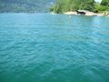 Fischen am Wolfgangsee 60115014