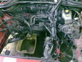 Motor umbau 71774902