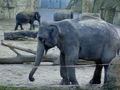 Besuch bei Gerhard in Düsseldorf  36692171