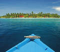 MaLeDiVeN ---- InSel KuRuMbA 8802839