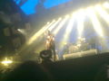 PLACEBO (vienna) 69530617