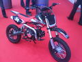 motorad messe  72032754