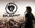 _RiseAgainst_fan - Fotoalbum