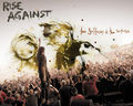 _RiseAgainst_fan - Fotoalbum