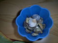 Italien 2009 64713902