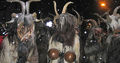 Krampus und Perchten  69729009