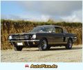 Mustang GT 500  68648287