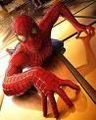 spiderman 68648448