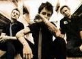 Green day 71286007