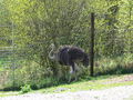 Tierpark 60424070