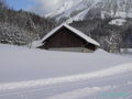 Winter 2008/09 64380278