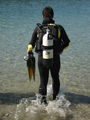 Open water diver 66285399