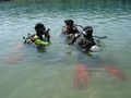 Open water diver 66285502