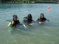 Open water diver 66285646