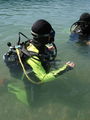 Open water diver 66285725