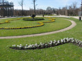 Tiergarten Schönbrunn 35436948