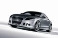 Audi TT & R8 30600685