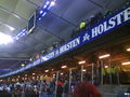 hamburg vs. RAPID/2:0 =( 69663317