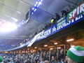 hamburg vs. RAPID/2:0 =( 69663334