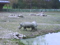 Tierpark Schmieding 69115338