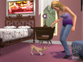 Sims 3 61386527