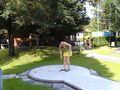 Kleine Verlobungsfeier mit Minigolf 62768949