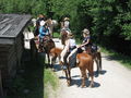 Pullman City 61203149