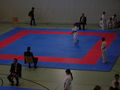 Karate 61138317