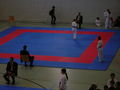 Karate 61138407